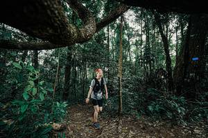 BIB: 
                            <button type="button" onclick="openModal(25390929)" class="btn btn-primary btn-sm float-right btn-popup" data-toggle="modal" data-target=".modal-high-quality">
                        <i class="fas fa-shopping-cart"></i> Add to Cart
                    </button>
                                            <button type="button" onclick="isThisMe(25390929, true)" class="btn btn-success btn-sm float-right btn-popup btn-isme hidden" data-toggle="tooltip" data-placement="bottom" title="นี่คือรูปของคุณใช่ไหม คลิกที่นี่เพื่อเอาเข้าอัลบั้ม">
                        <i class="fas fa-plus"></i> Add to album
                    </button>
                    <button type="button" onclick="isThisMe(25390929, false)" class="btn btn-warning btn-sm float-right btn-popup btn-isnotme hidden">
                        <i class="fas fa-ban"></i> Remove from album
                    </button>